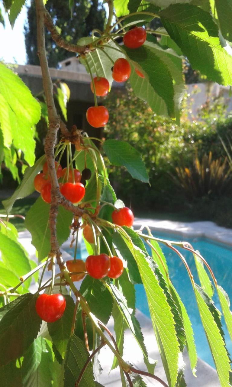 Casa Los Cerezos En Chacras De Coria Bagian luar foto